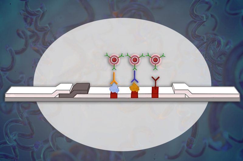 Open image in modal: a graphic rendering of pilot rapid test for syphilis on a background graphically rendering bacterium