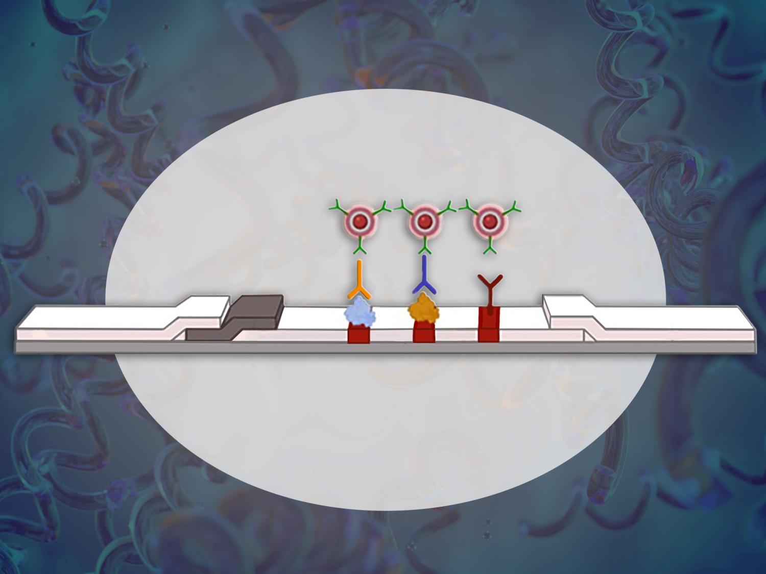 Open image in modal: a graphic rendering of pilot rapid test for syphilis on a background graphically rendering bacterium